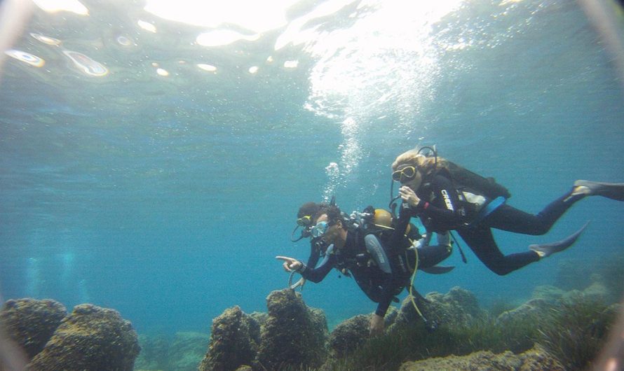 Discovering the Subaquatic Wonders: Diving Escapades in Kotor Bay