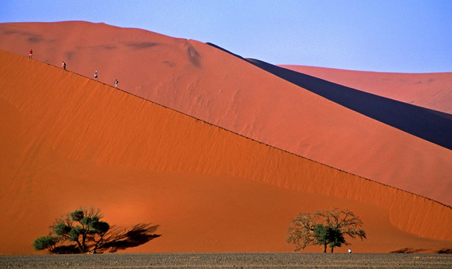 Prioritizing Safety: Essential Travel Advice for Exploring Namibia