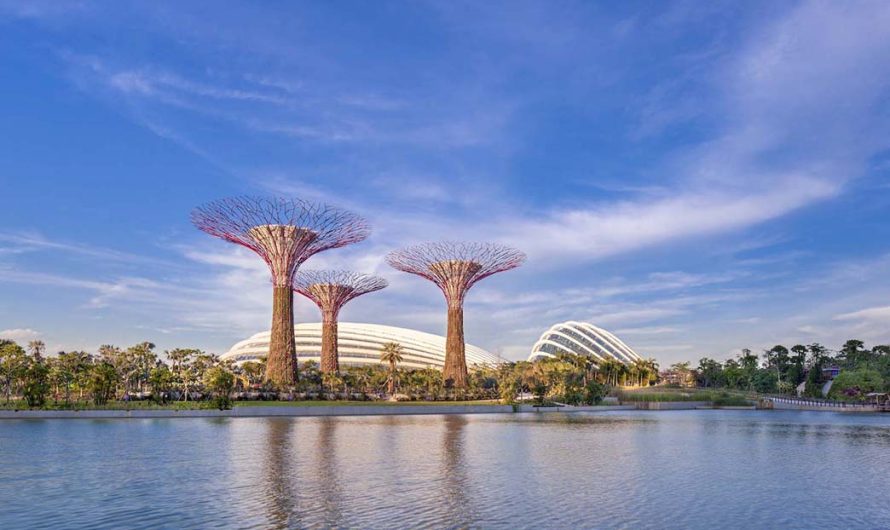 Singapore’s Verdant Oasis: Exploring the Natural Beauty of the Garden City