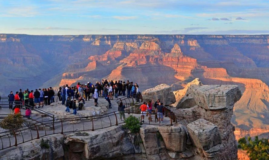 The Wildlife of the Grand Canyon: Encounters on My Travels