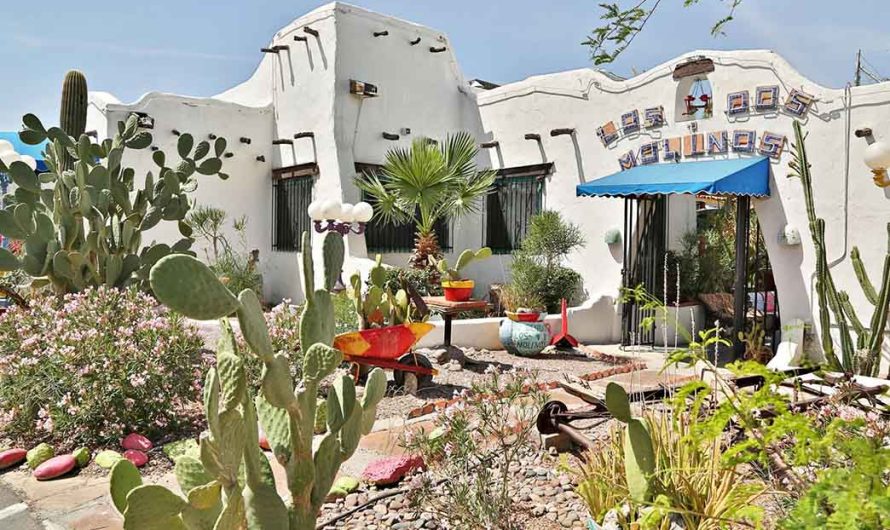 Phoenix Must-Try Foods: Top Restaurant Recommendations with Local Flavor