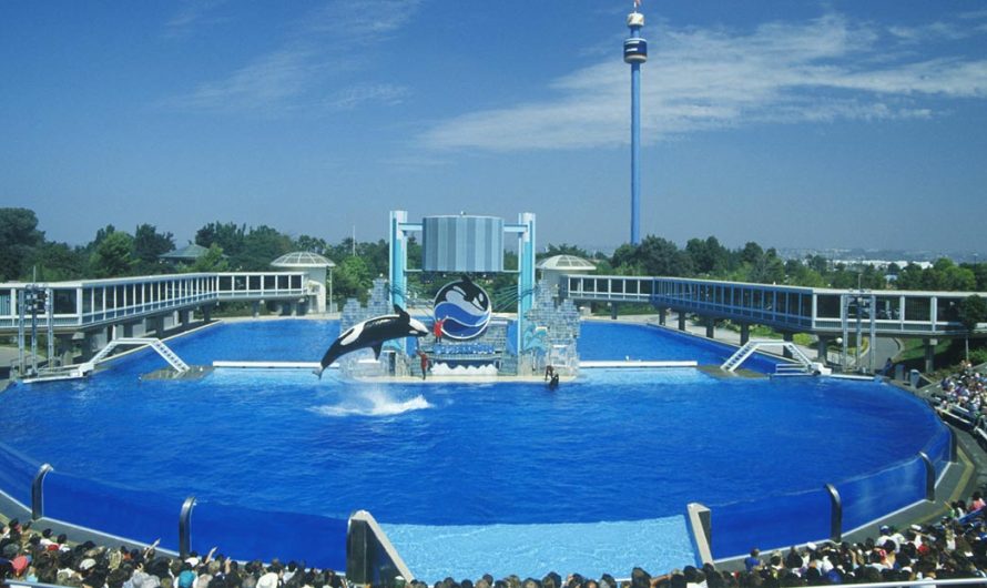 San Diego Trip: 5 Must-See Attractions You Can’t Miss