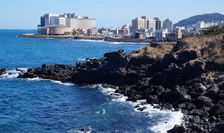 A Trip to Jeju Island: Breathing Anew Amidst Sea Breezes, Volcanic Landscapes, and a Leisurely Pace