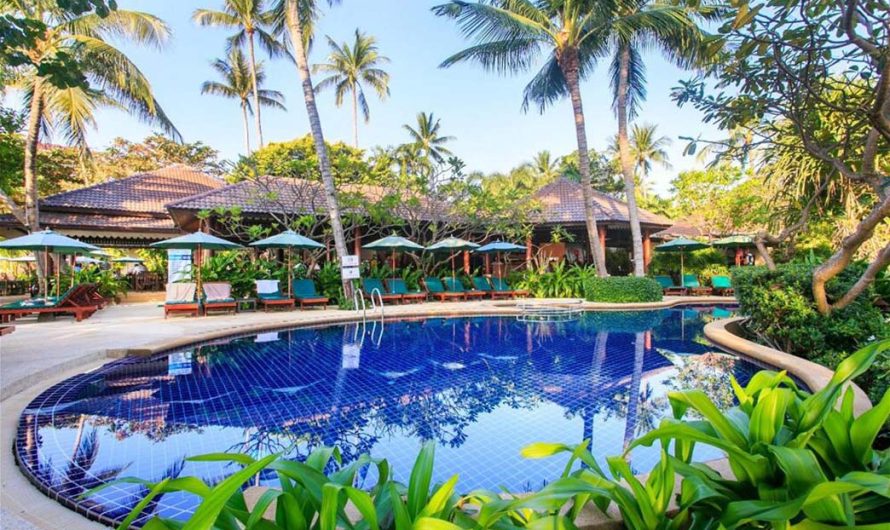 Five Hotel Experiences in Koh Samui: Understanding the True Nature of a Vacation Across Different Coastlines